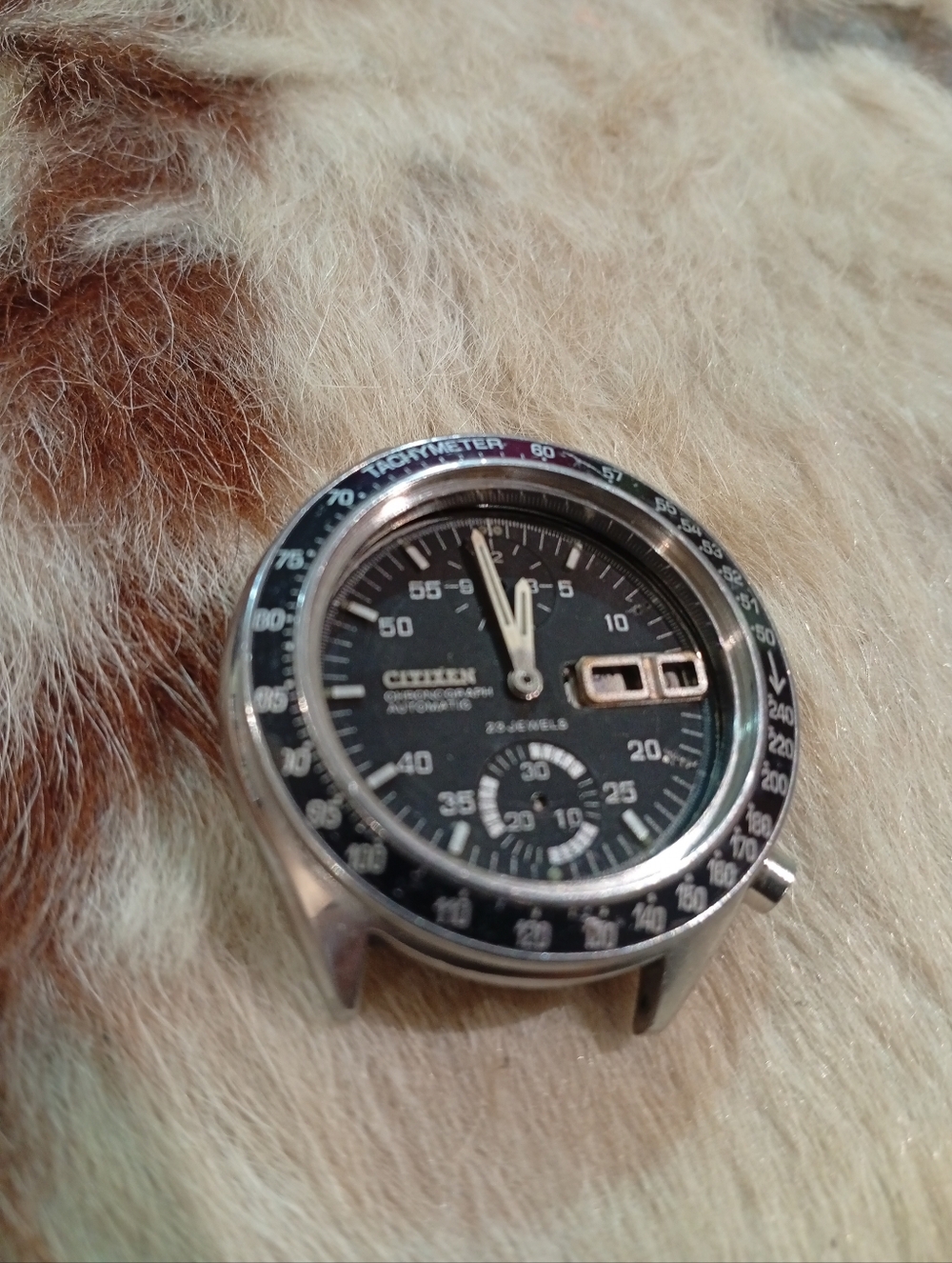 Citizen Speedy  Black Dial Chronograph Watch Head